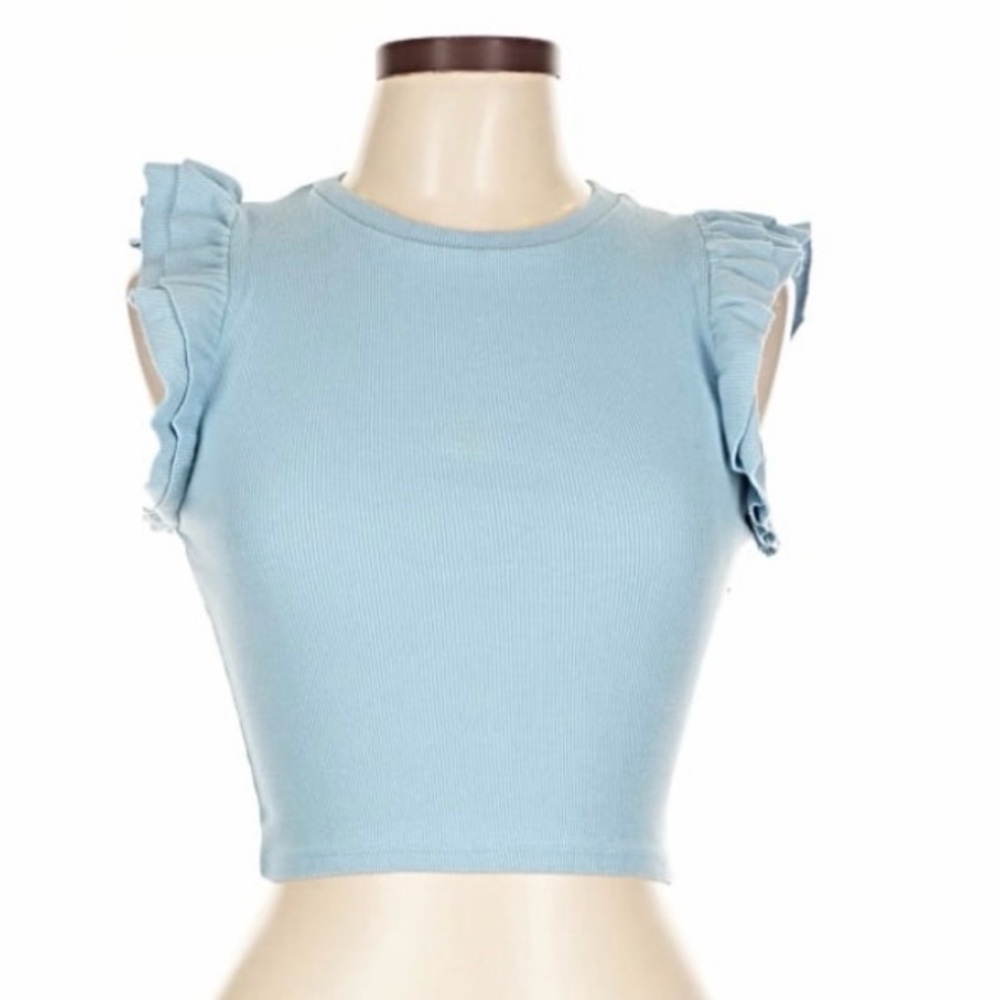 Blue Zara Ruffle Sleeve Crop Top, Small